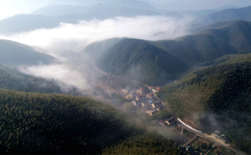 Mist transforms Huzhou hamlet into a transcendent wonderland