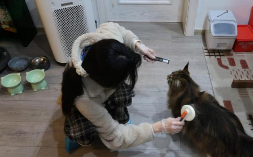 Rising demand for pet sitter in Jinhua