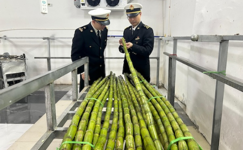 Wenzhou Taoshan sugarcane ventures into S. Korea