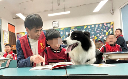 Dogs engaged in reading program for exceptional children