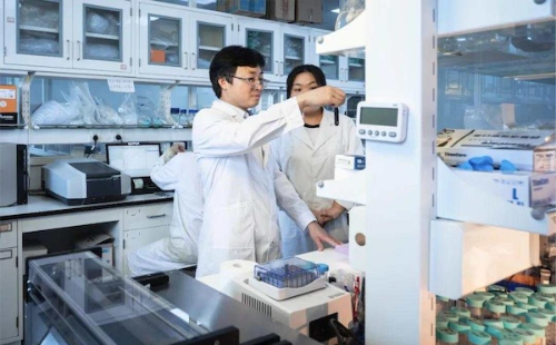 Jiaxing University professor recognized among top chemists