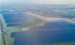 Sunny outlook for Ningbo PV industry