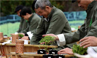 Tea-leaf frying contest held in Hangzhou