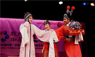 Yueju Opera sparks fond memories of China in overseas Chinese