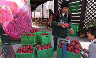 Zhejiang tops China's rural per capita disposable income for 33 consecutive years