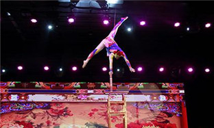 Zhejiang acrobatics stuns Thai audience