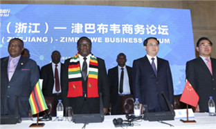 Zhejiang agrees deals totaling $184m with Zimbabwe