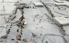 2,000-year-old wooden slips discovered in Ningbo