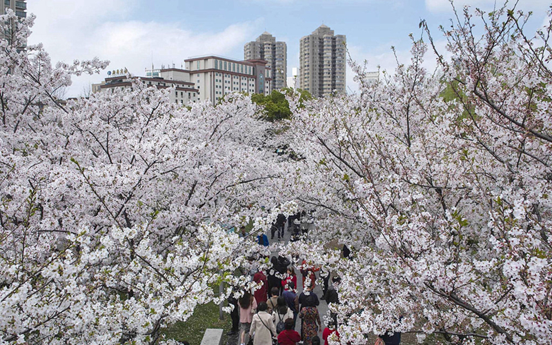 15 new Chinese first-tier cities