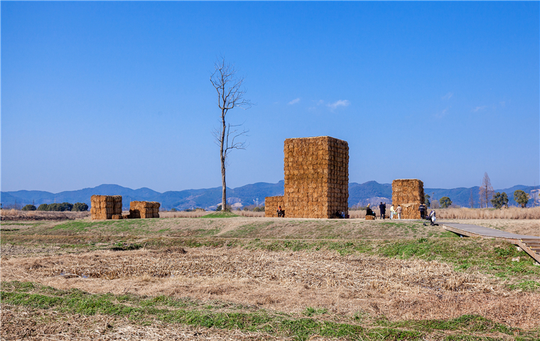 Hangzhou launches activities to celebrate Liangzhu Day