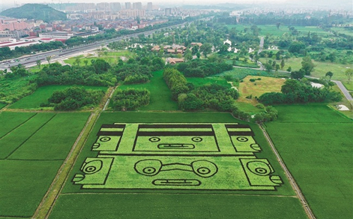 Rice paddy artwork features Liangzhu Culture