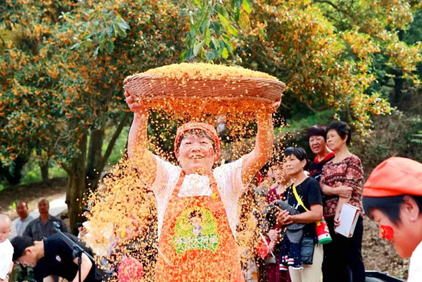 Places to enjoy osmanthus in Zhejiang