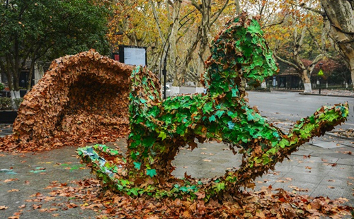 Autumn leaf festival falls in Hangzhou