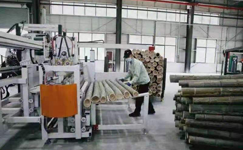 Bamboo industrial park opens in Qingyuan county
