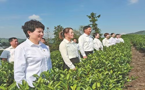 Huangdu village flourishes as agriculture advances