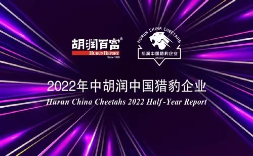 241 Chinese companies named cheetahs: Hurun report
