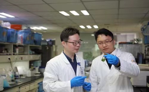 Chinese scientists use plant device to revitalize animal cells
