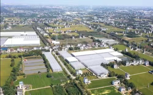 Zhejiang promotes the development of digital agriculture