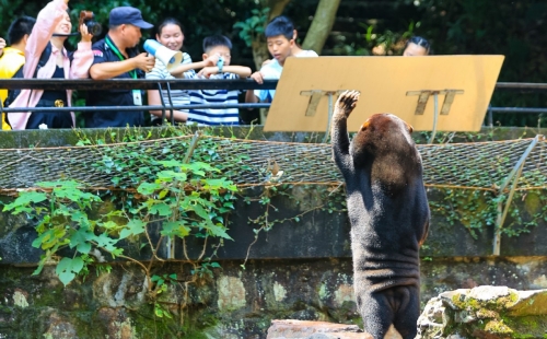 Zoo insists sun bear is the genuine article