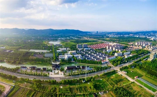 Zhejiang promotes construction of modern and beautiful towns