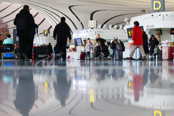 Airlines see significant recovery in bookings