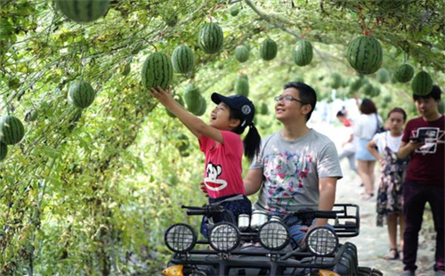 2.259 million talents settle in rural Zhejiang