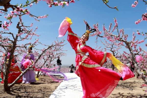 An invitation from peach blossoms in Zhangdan