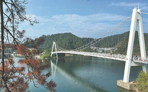 Village in Zhejiang gets power upgrade