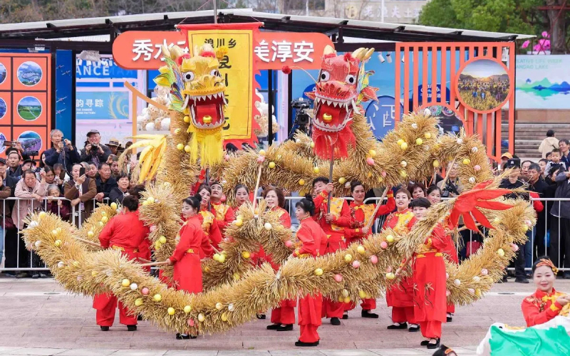 Dragons take over cultural event in Zhejiang