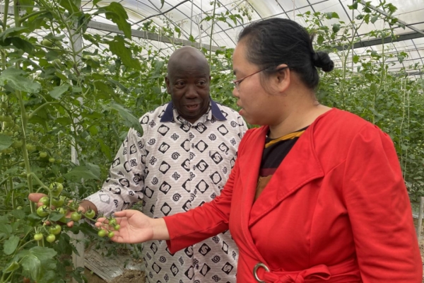 China-Africa collaboration cultivates sustainable agriculture in Taizhou