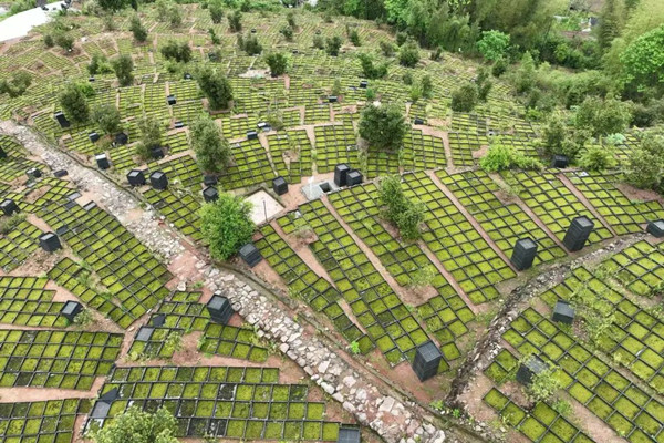 Moss farming industry booms in Lishui