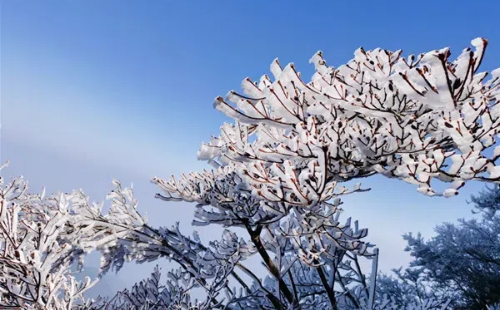 Frosty wonderland emerges in Lishui