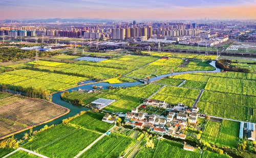 Zhenhai district purses growth in fields, villages