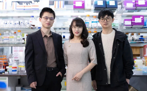 Zhejiang scientists unravel key to treating deadly muscle disease