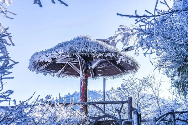 Discover frosty wonderland of Lishui's mountains