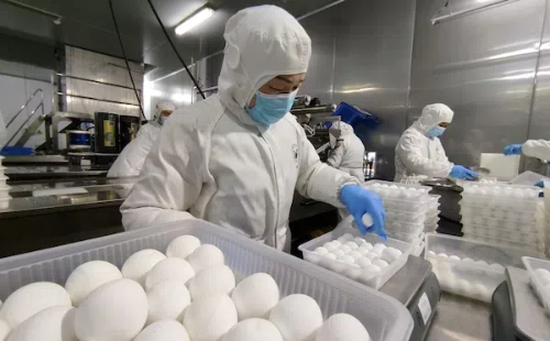 Ningbo tangyuan producer gears up for peak sales