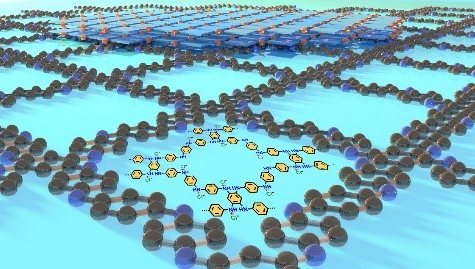 Scientists synthesize high-conductivity 2D conducting polymers