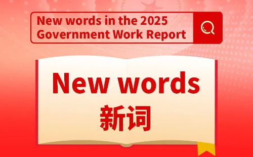 New words in the 2025 Government Work Report