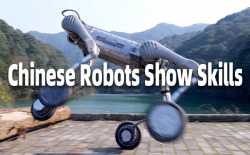 Chinese robots show skills