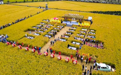 Ningbo parks combine farms, tours