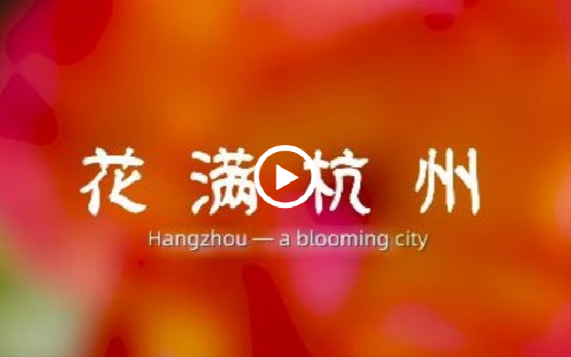 'Beautiful Zhejiang' episode 66: Hangzhou, a City Full of Flowers