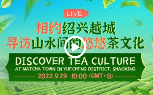 LIVE: Explore tea culture in Shaoxing