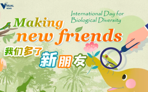 International Day for Biological Diversity: Making new friends