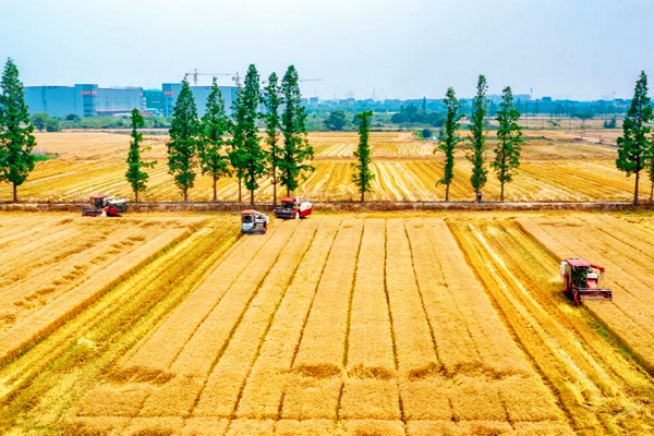 4 places in Jiaxing recognized as national strong agricultural towns
