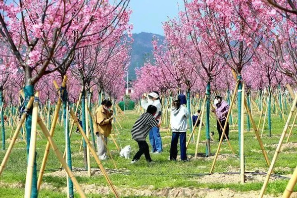 东阳花园村_副本.jpg