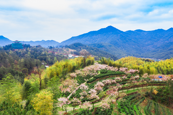 永康盘龙谷生态旅游区_副本.png