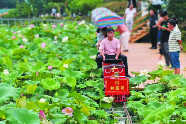 磐安荷花_副本.png