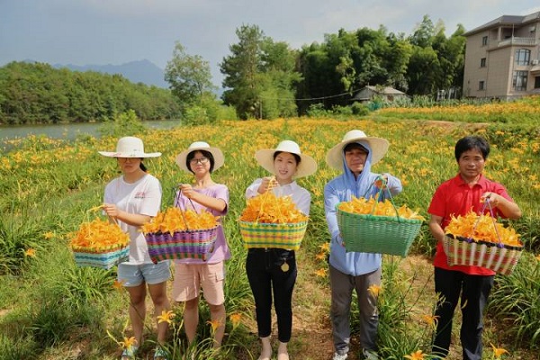 Huolushan village promotes development of day lilies