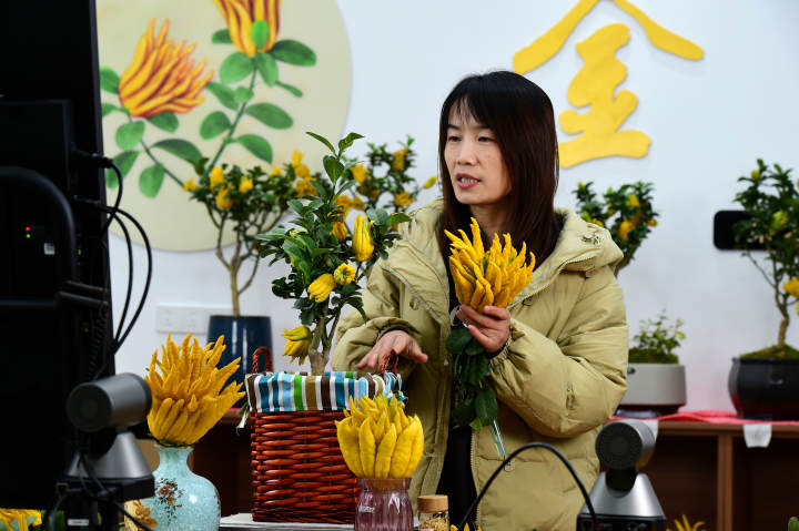 Beishankou village promotes bergamot