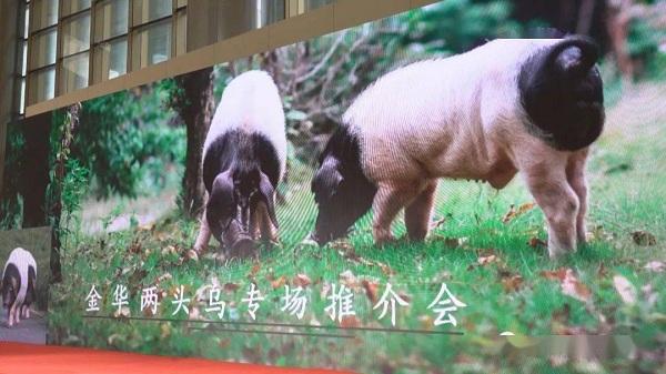 Jinhua shines at provincial agricultural fair